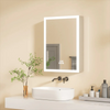LED Bathroom Mirror Cabinet- Smart Storage & Digital Display