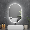 Bathroom Mirror 24"x36" LED Bathroom Mirror with Lights, Anti-Fog, Dimmable Oval Mirrors with Front Light And Backlit, Modern Farmhouse Wall Mounted Mirror for Decorative