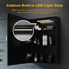 ELEGANT Bathroom Mirror Cabinet with Led Lights, Black Single Door Mirrored Bathroom Wall Cabinets with Demister Pad Dimmer Switch 2 Strip Lights 500 x 700mm